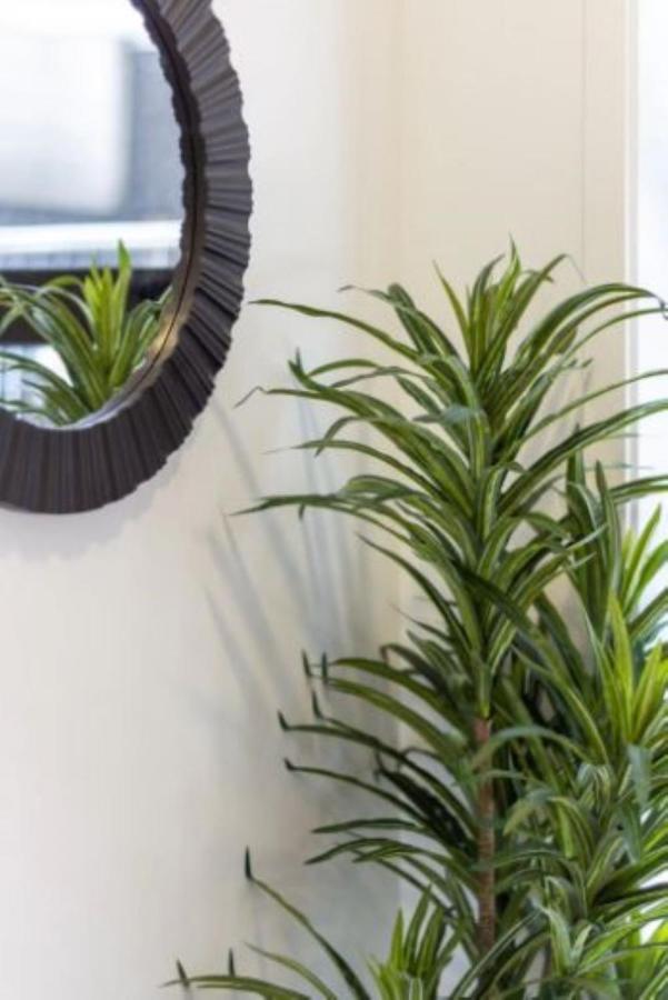 Serenity In The Centre: 2 Bed 2 Bath Christchurch Exterior foto